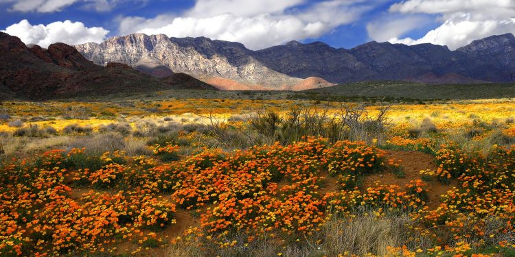 바이든, 서부 텍사스 국가기념물로 지정 보호한다