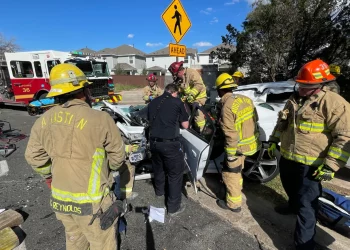 텍사스, 보행자 및 자전거 교통사고 사망자 급증