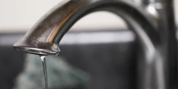 플로리다 남성, 수돗물로 코 세척하다 ‘뇌먹는 아메바’ 감염 사망