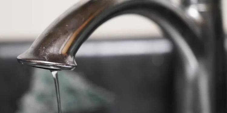 플로리다 남성, 수돗물로 코 세척하다 ‘뇌먹는 아메바’ 감염 사망