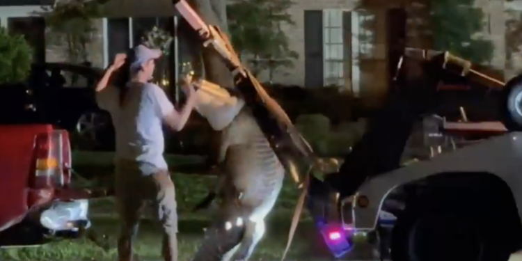 휴스턴 인근 도시에서 11피트 거대 악어 발견 … “텍사스에 50만 개체 서식 추정”