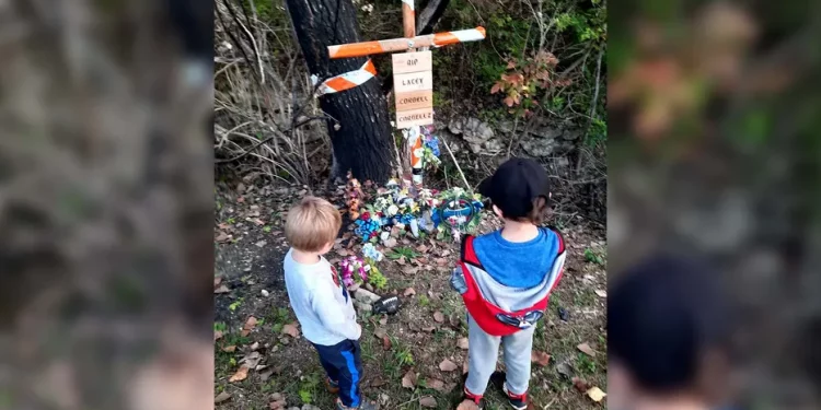 텍사스, 음주운전 사망사고 가해자 피해자 자녀에 양육비 지불해야