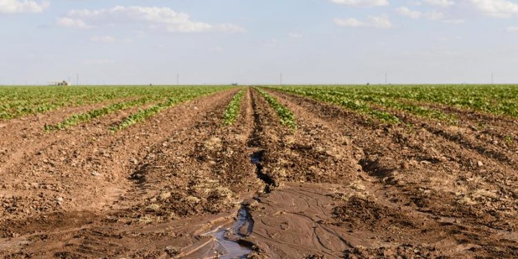 미 농무부, 텍사스 150개 카운티 자연재해지역 지정 … “극심한 가뭄 탓”