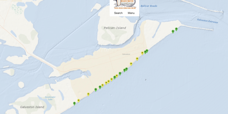 텍사스 걸프만 해변, 동물 배설물 박테리아 ‘안전하지 않다’