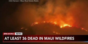 하와이 산불, 최소 36명 사망…비상사태 선포