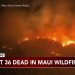 하와이 산불, 최소 36명 사망…비상사태 선포
