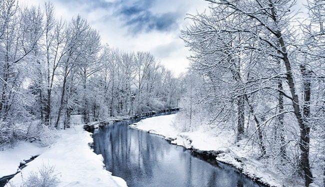 내년 1월, 텍사스 겨울폭풍 예측
