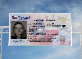 텍사스 전역 공공안전국(DPS), 온라인서비스 중단 … 오늘(6일) 정오까지