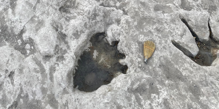 텍사스, 가뭄으로 드러난 강바닥 공룡발자국