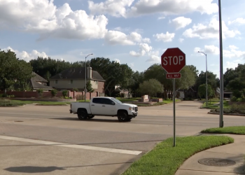 교차로에서 보행자 쳤다면? 자비는 없다 … ‘텍사스 횡단보도법 첫 적용’
