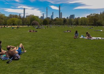 뉴욕 센트럴파크 잔디밭, 내년 4월까지 폐쇄