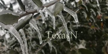 초가을 진입 텍사스, 영하권 날씨는 언제?