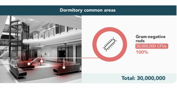 미국 대학교 캠퍼스 위생상태 ‘최악’ … “구내식당, 변기보다 더럽다”