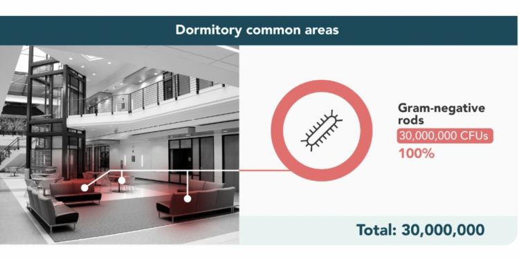 미국 대학교 캠퍼스 위생상태 ‘최악’ … “구내식당, 변기보다 더럽다”
