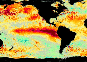 국립기상청 “텍사스, 엘니뇨 겨울 온다”