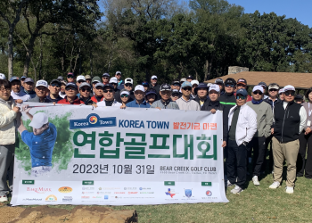 “달라스 코리아타운 미래를 향한 멋진 드라이브 샷”