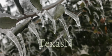 텍사스, 14일(일)부터 북극한파 영향권 … 기온 급감