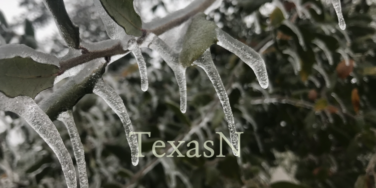 텍사스, 14일(일)부터 북극한파 영향권 … 기온 급감