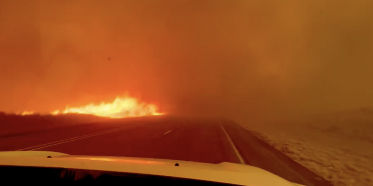 텍사스 팬핸들, 역사상 2번째 큰 규모 산불 발생