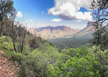 온 가족이 즐길 텍사스 최고 관광명소는?