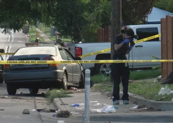 텍사스 주요 대도시, 보행자 자동차 충돌 부상 증가