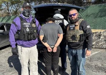 한국계 7명 중 1명이 불법이민자, 체포위기 처하면 어떻게?