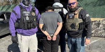 한국계 7명 중 1명이 불법이민자, 체포위기 처하면 어떻게?