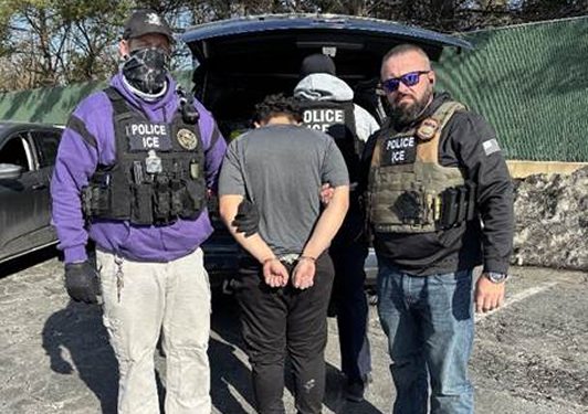 한국계 7명 중 1명이 불법이민자, 체포위기 처하면 어떻게?