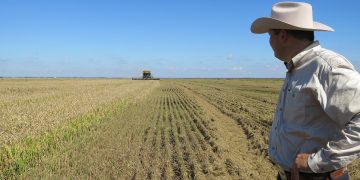 텍사스 농업 및 건설업 불법이민자가 전체 노동력 최대 70% 차지